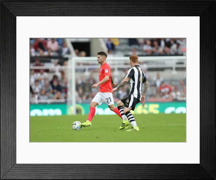 Framed Print : Championship Showdown: Newcastle United vs. Brighton and Hove Albion at St. James Park (27 / 08 / 2016) Framed Print : Championship Showdown: Newcastle United vs. Brighton and Hove Albion at St. James Park (27 / 08 / 2016)