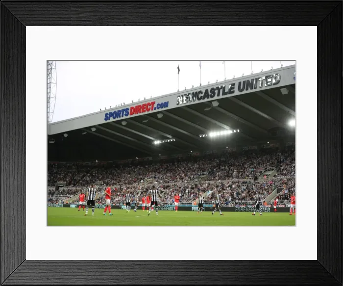 Framed Print : Championship Showdown: Newcastle United vs. Brighton and Hove Albion at St. James Park (27-08-2016) Framed Print : Championship Showdown: Newcastle United vs. Brighton and Hove Albion at St. James Park (27-08-2016)