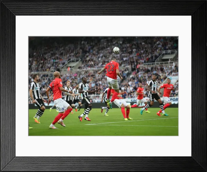 Framed Print : Sky Bet Championship Showdown: Newcastle United vs. Brighton and Hove Albion at St. James Park (27 / 08 / 2016) Framed Print : Sky Bet Championship Showdown: Newcastle United vs. Brighton and Hove Albion at St. James Park (27 / 08 / 2016)
