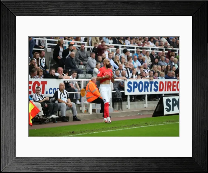 Framed Print : Sky Bet Championship Showdown: Newcastle United vs. Brighton and Hove Albion at St. James Park (27 / 08 / 2016) Framed Print : Sky Bet Championship Showdown: Newcastle United vs. Brighton and Hove Albion at St. James Park (27 / 08 / 2016)