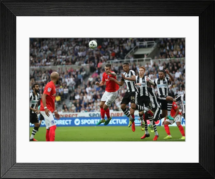 Framed Print : Sky Bet Championship Showdown: Newcastle United vs. Brighton and Hove Albion at St. James Park (27 / 08 / 2016) Framed Print : Sky Bet Championship Showdown: Newcastle United vs. Brighton and Hove Albion at St. James Park (27 / 08 / 2016)