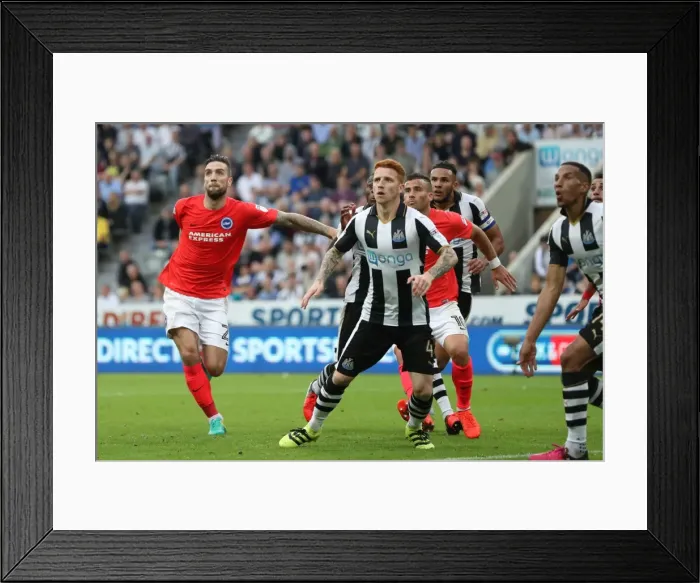 Framed Print : Sky Bet Championship Showdown: Newcastle United vs. Brighton and Hove Albion at St. James Park (27 / 08 / 2016) Framed Print : Sky Bet Championship Showdown: Newcastle United vs. Brighton and Hove Albion at St. James Park (27 / 08 / 2016)