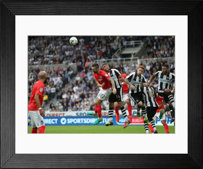 Framed Print : Sky Bet Championship Showdown: Newcastle United vs. Brighton & Hove Albion at St. James Park (27-08-2016) Framed Print : Sky Bet Championship Showdown: Newcastle United vs. Brighton & Hove Albion at St. James Park (27-08-2016)