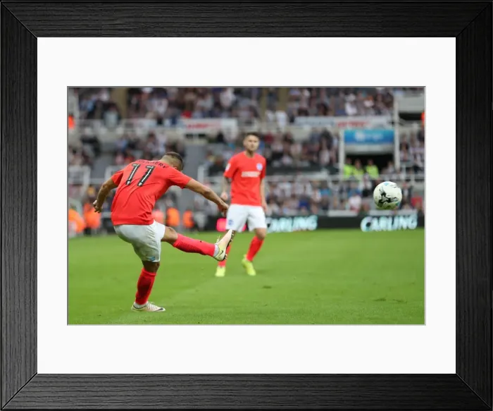 Framed Print : Sky Bet Championship Showdown: Newcastle United vs. Brighton and Hove Albion at St. James Park (27-08-2016) Framed Print : Sky Bet Championship Showdown: Newcastle United vs. Brighton and Hove Albion at St. James Park (27-08-2016)