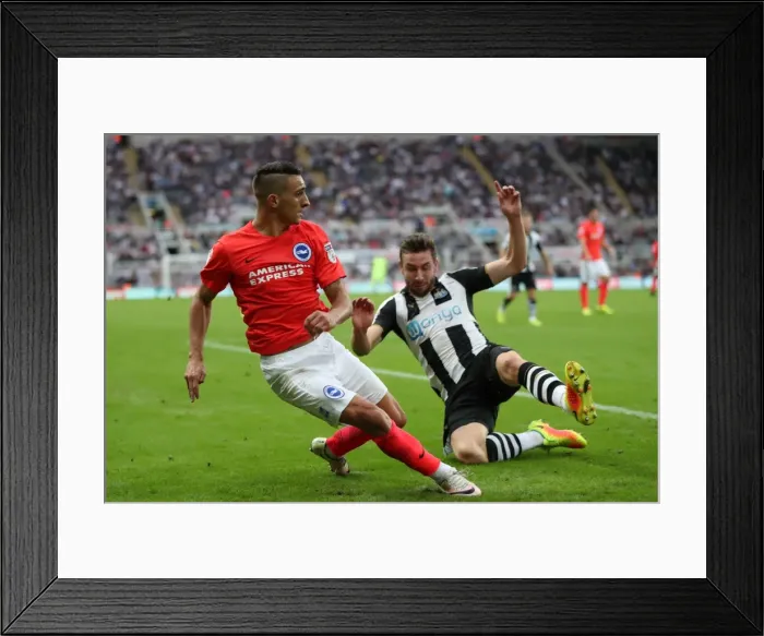 Framed Print : Sky Bet Championship Showdown: Newcastle United vs. Brighton and Hove Albion at St. James Park (27-08-2016) Framed Print : Sky Bet Championship Showdown: Newcastle United vs. Brighton and Hove Albion at St. James Park (27-08-2016)