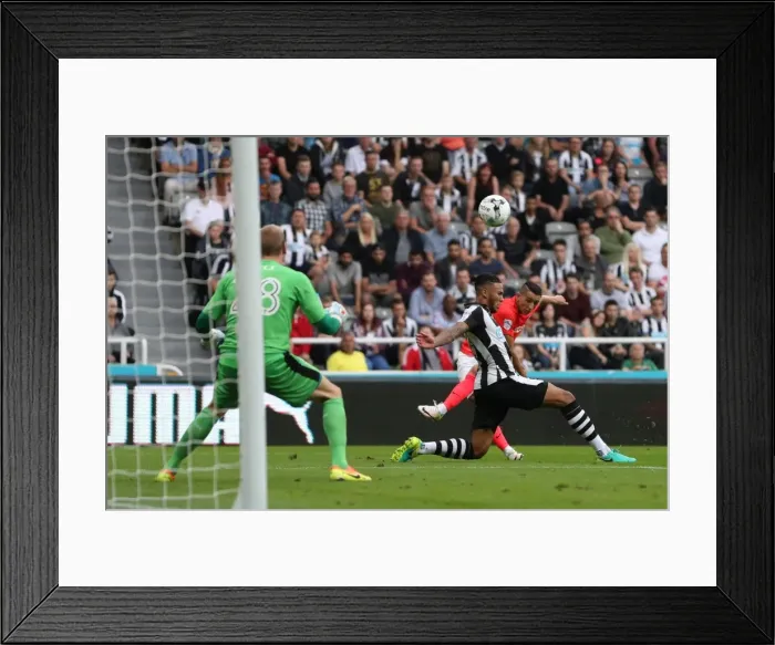 Framed Print : Sky Bet Championship Showdown: Newcastle United vs. Brighton and Hove Albion at St. James Park (27 / 08 / 2016) Framed Print : Sky Bet Championship Showdown: Newcastle United vs. Brighton and Hove Albion at St. James Park (27 / 08 / 2016)
