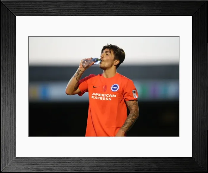 Framed Print : Checkatrade EFL Trophy: Southend United vs. Brighton & Hove Albion U23 at Roots Hall (30AUG16) Framed Print : Checkatrade EFL Trophy: Southend United vs. Brighton & Hove Albion U23 at Roots Hall (30AUG16)