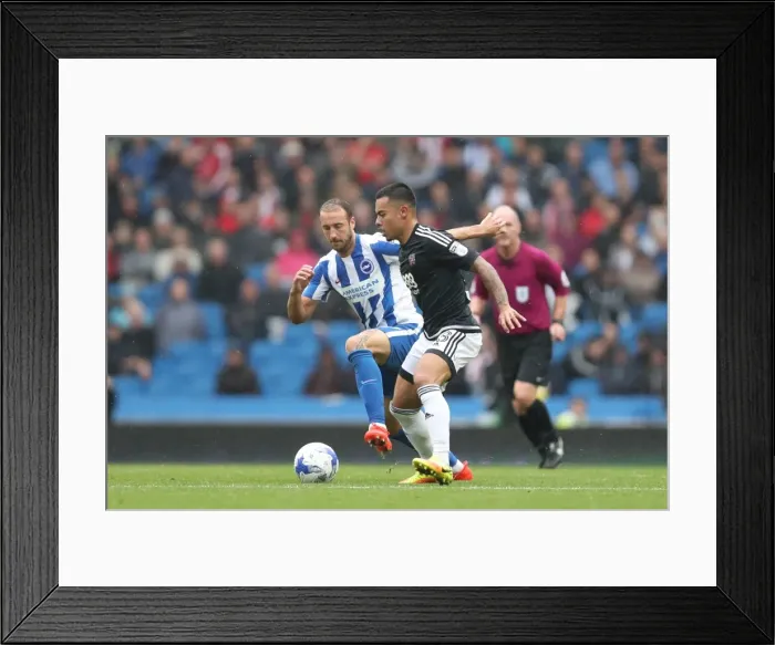 Framed Print : Championship Showdown: Brighton and Hove Albion vs. Brentford at American Express Community Stadium (10SEP16) Framed Print : Championship Showdown: Brighton and Hove Albion vs. Brentford at American Express Community Stadium (10SEP16)