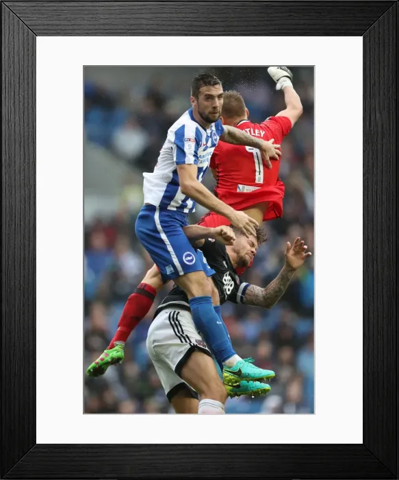Framed Print : Brighton and Hove Albion vs. Brentford: EFL Sky Bet Championship Showdown at American Express Community Stadium (10SEP16) Framed Print : Brighton and Hove Albion vs. Brentford: EFL Sky Bet Championship Showdown at American Express Community Stadium (10SEP16)