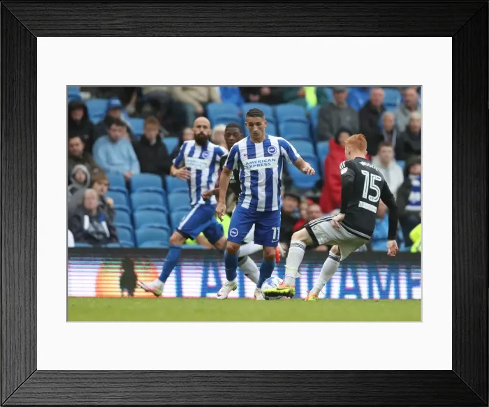 Framed Print : Championship Showdown: Brighton and Hove Albion vs. Brentford at American Express Community Stadium (10SEP16) Framed Print : Championship Showdown: Brighton and Hove Albion vs. Brentford at American Express Community Stadium (10SEP16)