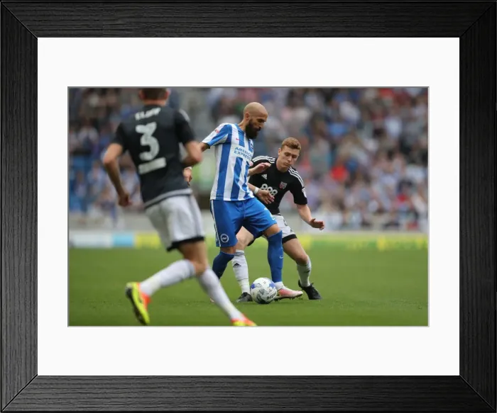 Framed Print : Championship Clash: Brighton and Hove Albion vs. Brentford at the American Express Community Stadium (10SEP16) Framed Print : Championship Clash: Brighton and Hove Albion vs. Brentford at the American Express Community Stadium (10SEP16)