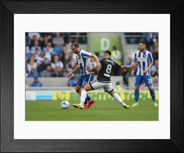 Framed Print : Championship Showdown: Brighton and Hove Albion vs. Brentford at American Express Community Stadium (10SEP16)