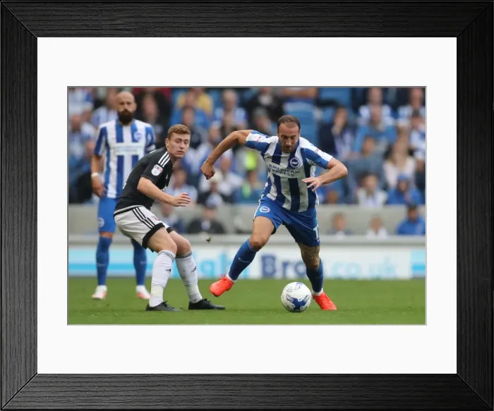 Framed Print : Championship Showdown: Brighton and Hove Albion vs. Brentford at American Express Community Stadium (10SEP16) Framed Print : Championship Showdown: Brighton and Hove Albion vs. Brentford at American Express Community Stadium (10SEP16)
