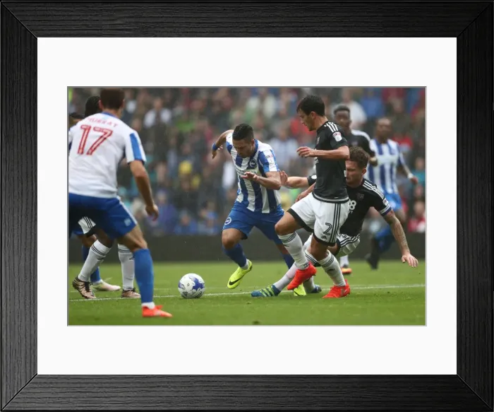 Framed Print : September Showdown: Brighton and Hove Albion vs. Brentford in Sky Bet Championship (10SEP16) Framed Print : September Showdown: Brighton and Hove Albion vs. Brentford in Sky Bet Championship (10SEP16)
