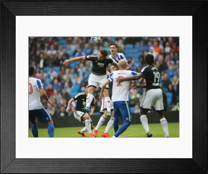 Framed Print : Brighton and Hove Albion vs. Brentford: EFL Sky Bet Championship Clash at American Express Community Stadium (September 10, 2016) Framed Print : Brighton and Hove Albion vs. Brentford: EFL Sky Bet Championship Clash at American Express Community Stadium (September 10, 2016)