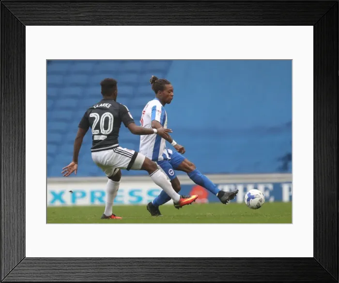 Framed Print : Championship Showdown: Brighton & Hove Albion vs. Brentford (10SEP16) Framed Print : Championship Showdown: Brighton & Hove Albion vs. Brentford (10SEP16)