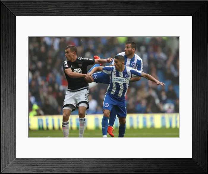 Framed Print : Championship Showdown: Brighton & Hove Albion vs. Brentford at American Express Community Stadium (10SEP16)