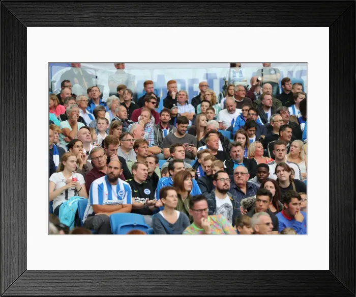Framed Print : Championship Showdown: Brighton & Hove Albion vs. Brentford (10SEP16) Framed Print : Championship Showdown: Brighton & Hove Albion vs. Brentford (10SEP16)
