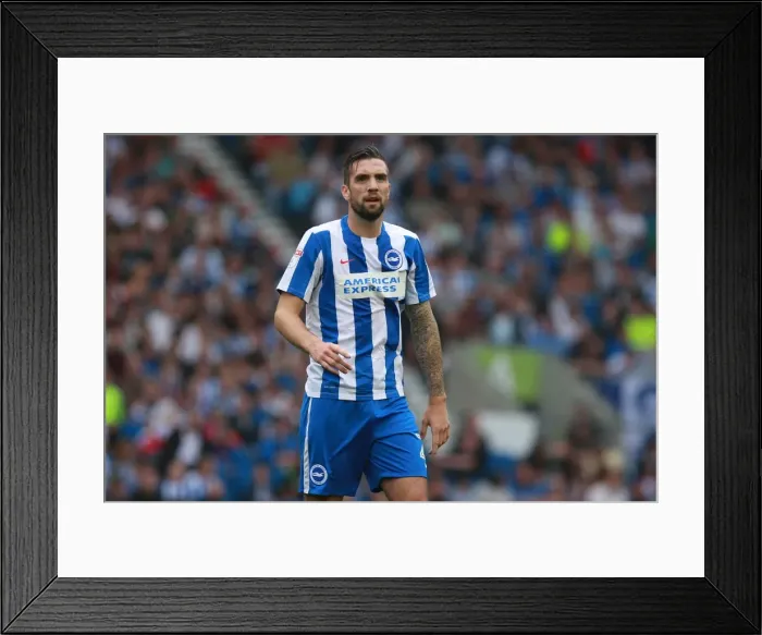 Framed Print : Shane Duffy in Action: Brighton & Hove Albion vs. Brentford, EFL Sky Bet Championship (10SEP16) Framed Print : Shane Duffy in Action: Brighton & Hove Albion vs. Brentford, EFL Sky Bet Championship (10SEP16)