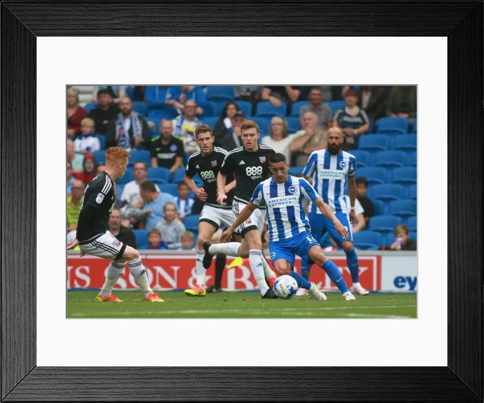 Framed Print : Anthony Knockaert in Action: Brighton & Hove Albion vs. Brentford, EFL Sky Bet Championship (10SEP16) Framed Print : Anthony Knockaert in Action: Brighton & Hove Albion vs. Brentford, EFL Sky Bet Championship (10SEP16)