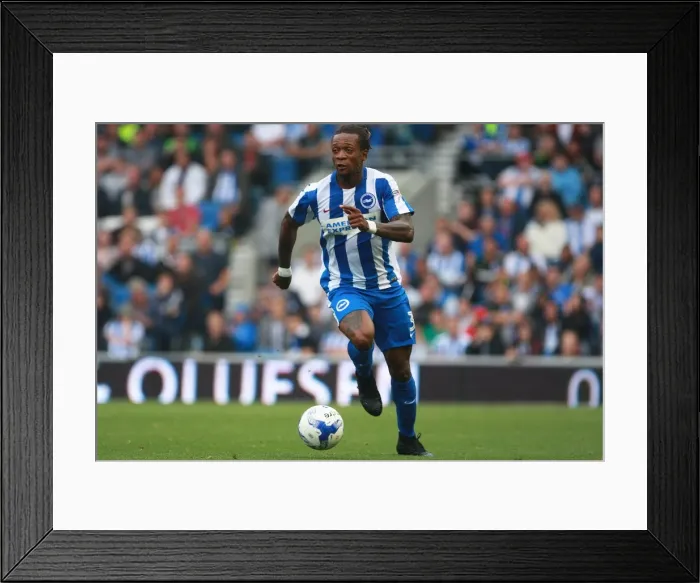 Framed Print : Brighton & Hove Albion's Gaetan Bong in Action Against Brentford in EFL Championship Clash (10SEP16) Framed Print : Brighton & Hove Albion's Gaetan Bong in Action Against Brentford in EFL Championship Clash (10SEP16)