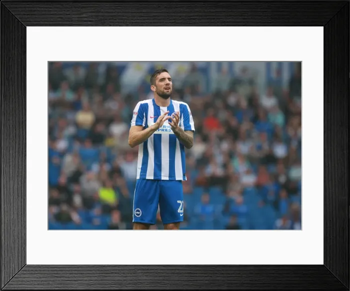 Framed Print : Brighton & Hove Albion vs. Brentford: Shane Duffy in Action, EFL Sky Bet Championship, 10th September 2016 Framed Print : Brighton & Hove Albion vs. Brentford: Shane Duffy in Action, EFL Sky Bet Championship, 10th September 2016