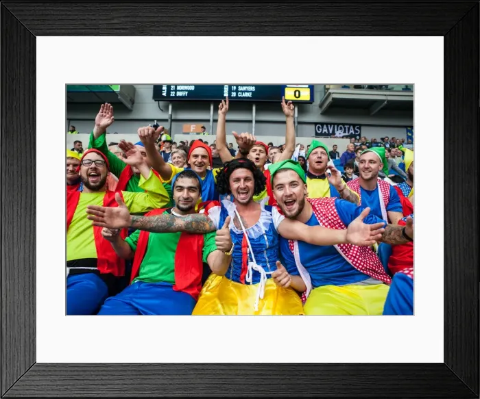 Framed Print : Brighton and Hove Albion Fans in Fancy Dress: Brentford Match, American Express Community Stadium, September 10, 2016 Framed Print : Brighton and Hove Albion Fans in Fancy Dress: Brentford Match, American Express Community Stadium, September 10, 2016