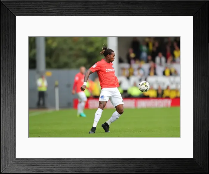 Framed Print : Intense Championship Showdown: Burton Albion vs. Brighton and Hove Albion at Pirelli Stadium (17SEP16) Framed Print : Intense Championship Showdown: Burton Albion vs. Brighton and Hove Albion at Pirelli Stadium (17SEP16)