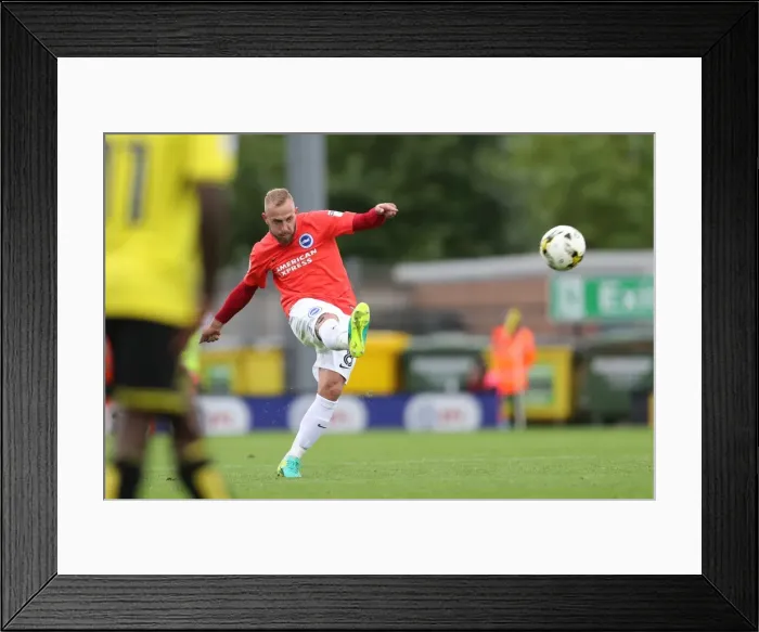 Framed Print : Brighton and Hove Albion Take on Burton Albion in Championship Clash (17SEP16)