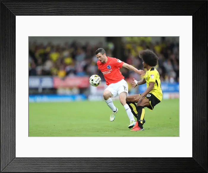 Framed Print : Championship Showdown: Burton Albion vs. Brighton & Hove Albion at Pirelli Stadium (17SEP16) Framed Print : Championship Showdown: Burton Albion vs. Brighton & Hove Albion at Pirelli Stadium (17SEP16)