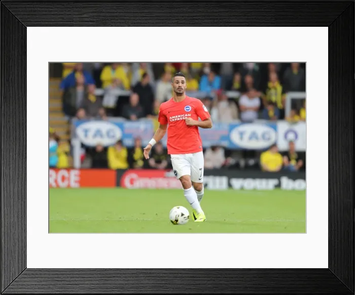 Framed Print : Championship Showdown: Burton Albion vs. Brighton and Hove Albion at Pirelli Stadium (17SEP16) Framed Print : Championship Showdown: Burton Albion vs. Brighton and Hove Albion at Pirelli Stadium (17SEP16)