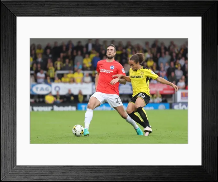 Framed Print : Sky Bet Championship Showdown: Burton Albion vs. Brighton & Hove Albion at Pirelli Stadium (17 / 09 / 2016) Framed Print : Sky Bet Championship Showdown: Burton Albion vs. Brighton & Hove Albion at Pirelli Stadium (17 / 09 / 2016)