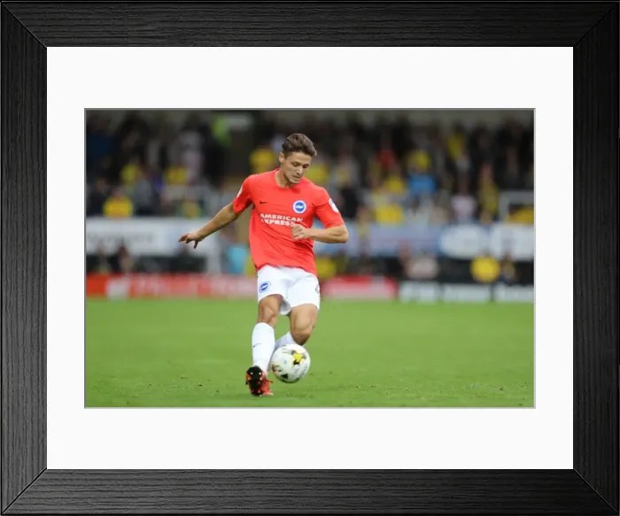 Framed Print : Championship Showdown: Burton Albion vs. Brighton and Hove Albion at Pirelli Stadium (17SEP16)