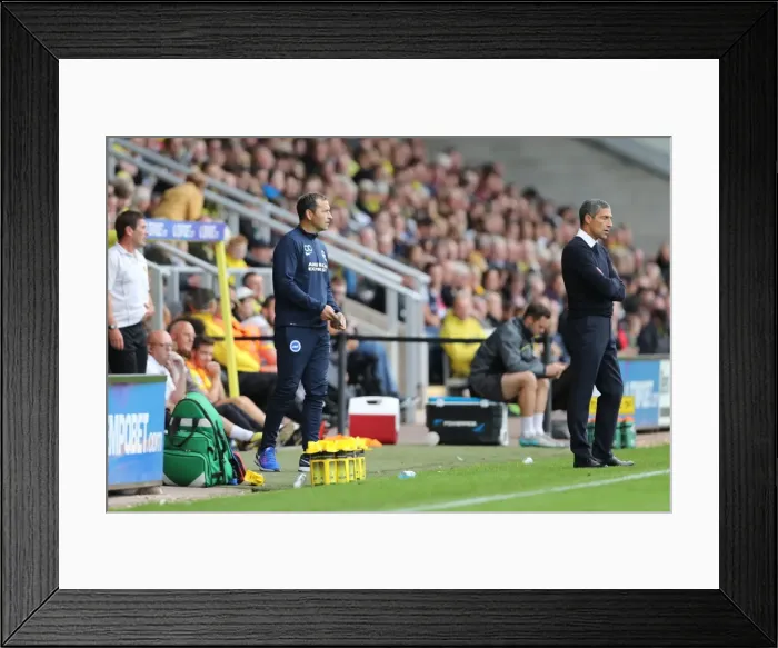 Framed Print : Championship Showdown: Burton Albion vs. Brighton and Hove Albion at Pirelli Stadium (17SEP16) Framed Print : Championship Showdown: Burton Albion vs. Brighton and Hove Albion at Pirelli Stadium (17SEP16)