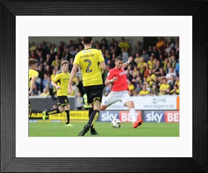 Framed Print : Championship Showdown: Burton Albion vs. Brighton and Hove Albion at Pirelli Stadium (17SEP16) Framed Print : Championship Showdown: Burton Albion vs. Brighton and Hove Albion at Pirelli Stadium (17SEP16)