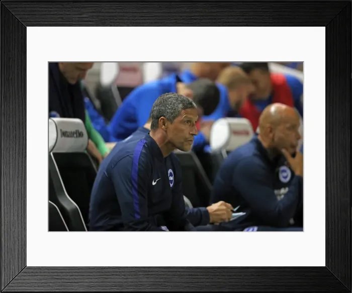 Framed Print : Brighton and Hove Albion v Reading EFL Cup 3rd Round 20SEP16 Framed Print : Brighton and Hove Albion v Reading EFL Cup 3rd Round 20SEP16