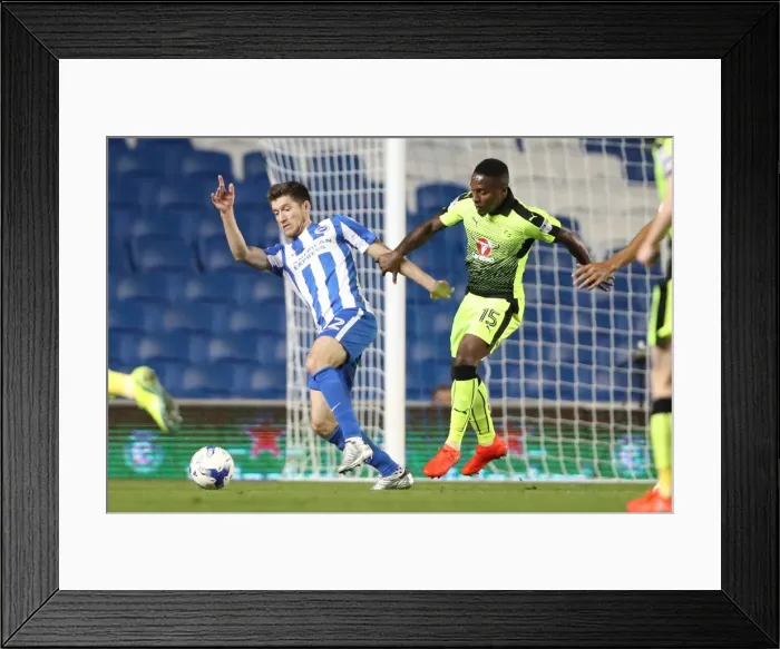 Framed Print : Brighton and Hove Albion vs. Reading: EFL Cup Showdown at American Express Community Stadium (2016) Framed Print : Brighton and Hove Albion vs. Reading: EFL Cup Showdown at American Express Community Stadium (2016)