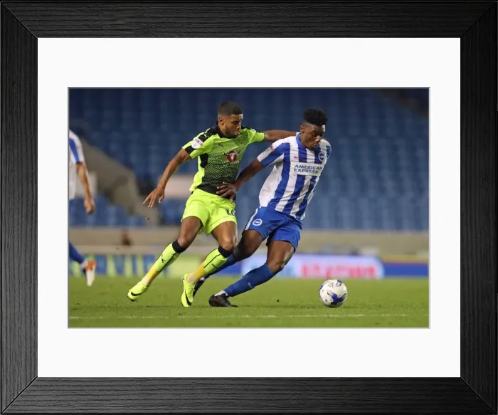 Framed Print : Brighton and Hove Albion vs. Reading: EFL Cup Showdown at American Express Community Stadium (2016) Framed Print : Brighton and Hove Albion vs. Reading: EFL Cup Showdown at American Express Community Stadium (2016)