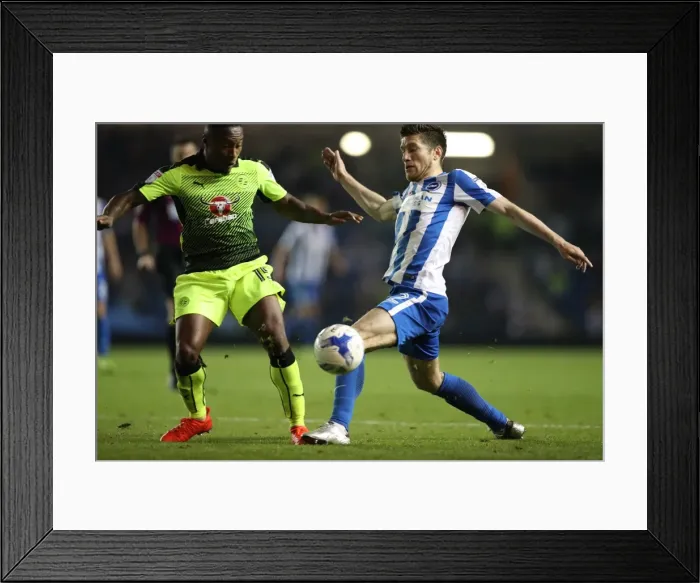 Framed Print : Brighton and Hove Albion vs. Reading: EFL Cup Showdown at American Express Community Stadium (2016) Framed Print : Brighton and Hove Albion vs. Reading: EFL Cup Showdown at American Express Community Stadium (2016)