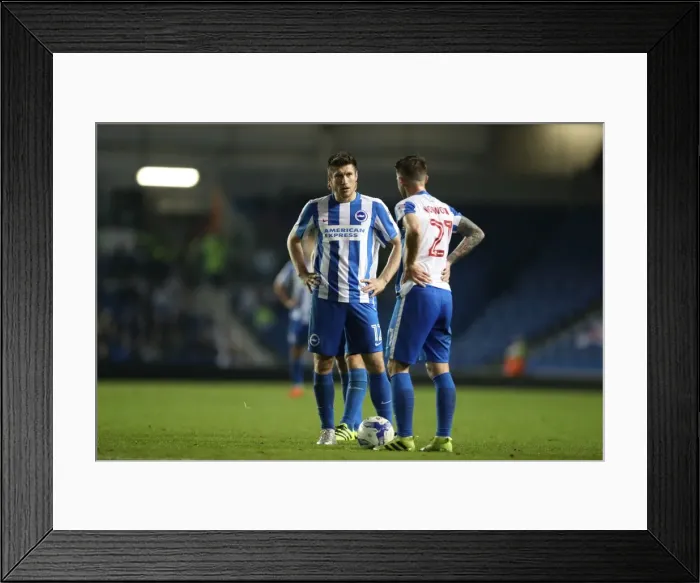 Framed Print : Brighton and Hove Albion vs. Reading: EFL Cup Showdown at American Express Community Stadium (2016) Framed Print : Brighton and Hove Albion vs. Reading: EFL Cup Showdown at American Express Community Stadium (2016)