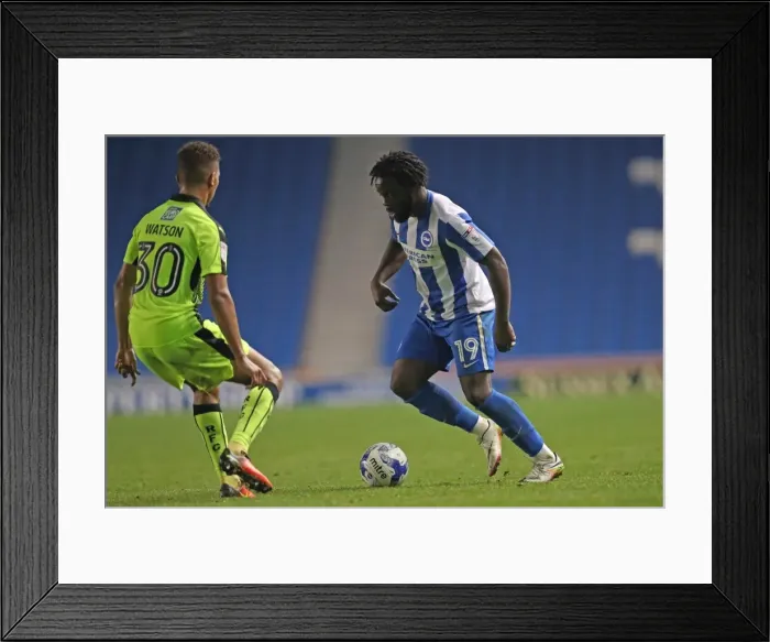 Framed Print : Brighton and Hove Albion vs. Reading: EFL Cup Battle at American Express Community Stadium (2016)