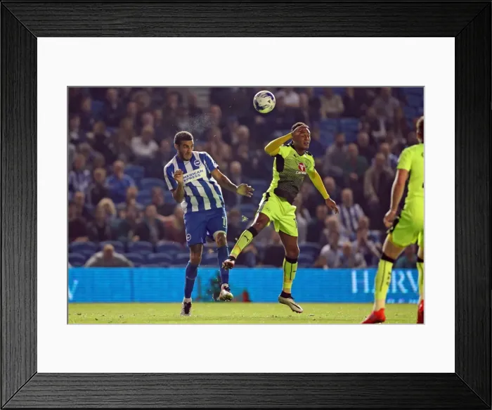 Framed Print : Brighton and Hove Albion vs. Reading: EFL Cup Showdown at American Express Community Stadium (2016)