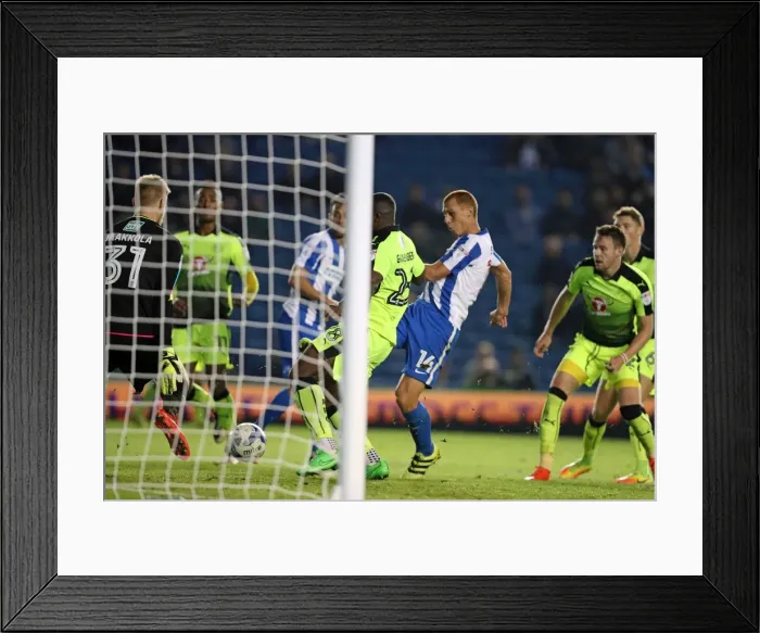 Framed Print : Brighton and Hove Albion vs. Reading: EFL Cup Battle at American Express Community Stadium (2016) Framed Print : Brighton and Hove Albion vs. Reading: EFL Cup Battle at American Express Community Stadium (2016)