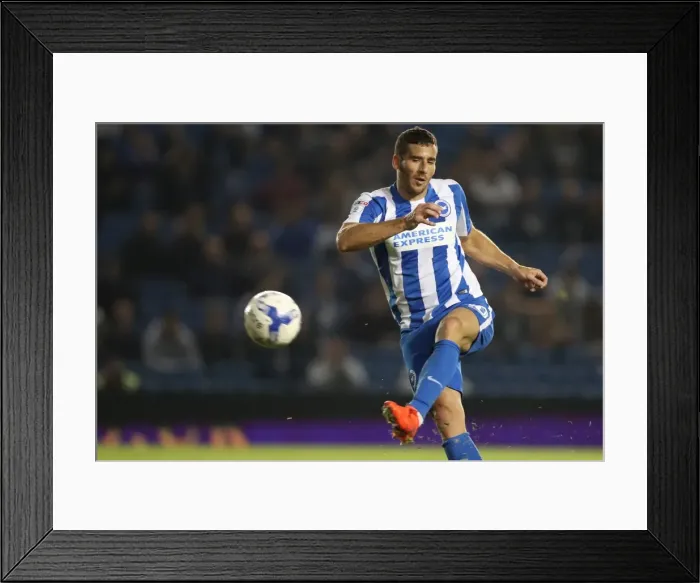 Framed Print : Brighton and Hove Albion vs. Reading: EFL Cup Battle at American Express Community Stadium (2016) Framed Print : Brighton and Hove Albion vs. Reading: EFL Cup Battle at American Express Community Stadium (2016)