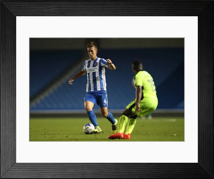 Framed Print : Brighton and Hove Albion vs. Reading: EFL Cup Showdown at American Express Community Stadium (2016) Framed Print : Brighton and Hove Albion vs. Reading: EFL Cup Showdown at American Express Community Stadium (2016)