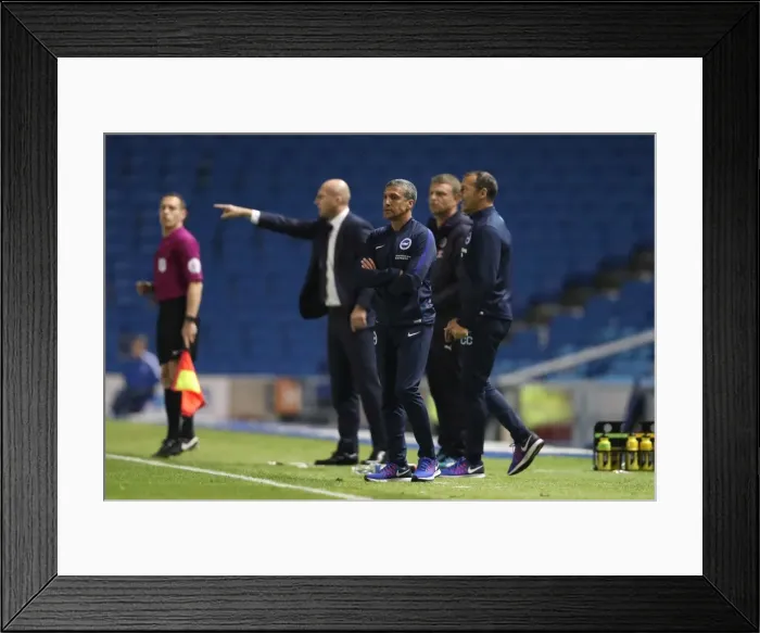 Framed Print : Brighton and Hove Albion vs. Reading: EFL Cup Showdown at American Express Community Stadium (2016) Framed Print : Brighton and Hove Albion vs. Reading: EFL Cup Showdown at American Express Community Stadium (2016)