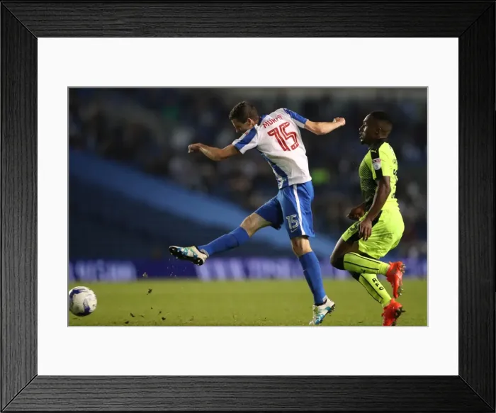 Framed Print : Brighton and Hove Albion vs. Reading: EFL Cup Showdown at American Express Community Stadium (2016) Framed Print : Brighton and Hove Albion vs. Reading: EFL Cup Showdown at American Express Community Stadium (2016)