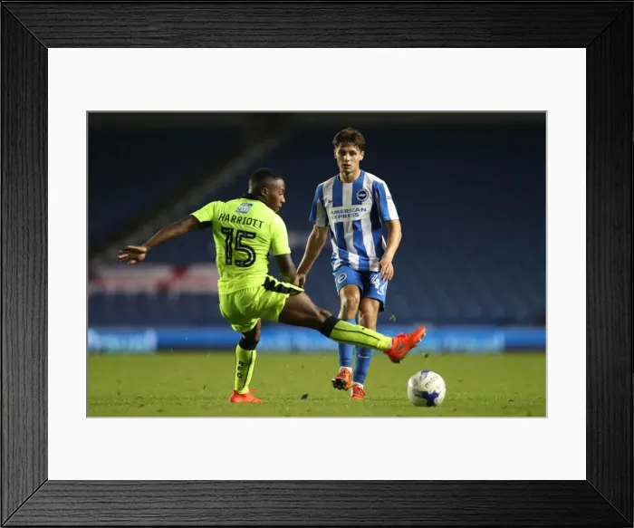 Framed Print : Brighton and Hove Albion vs. Reading: EFL Cup Showdown at American Express Community Stadium (2016) Framed Print : Brighton and Hove Albion vs. Reading: EFL Cup Showdown at American Express Community Stadium (2016)