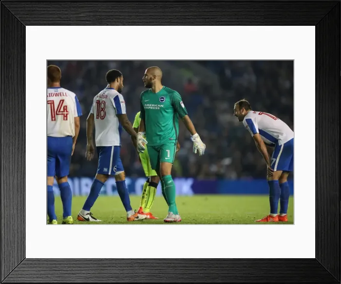 Framed Print : Brighton and Hove Albion vs. Reading: EFL Cup Showdown at American Express Community Stadium (2016) Framed Print : Brighton and Hove Albion vs. Reading: EFL Cup Showdown at American Express Community Stadium (2016)