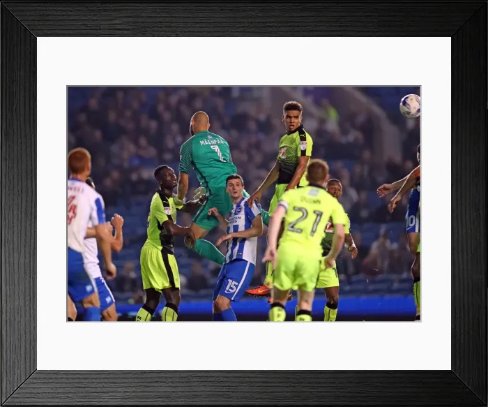 Framed Print : Brighton and Hove Albion vs. Reading: EFL Cup Showdown at American Express Community Stadium (2016) Framed Print : Brighton and Hove Albion vs. Reading: EFL Cup Showdown at American Express Community Stadium (2016)